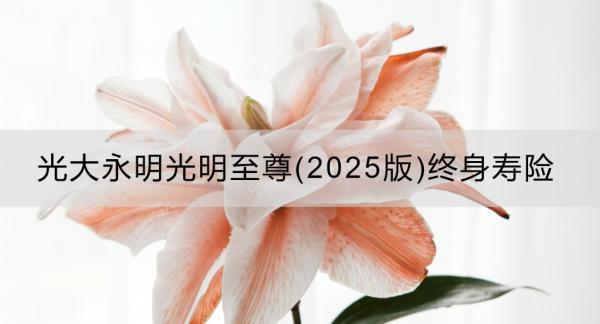 光大永明光明至尊(2025版)終身壽險投保規(guī)則是什么？產(chǎn)品怎么樣？