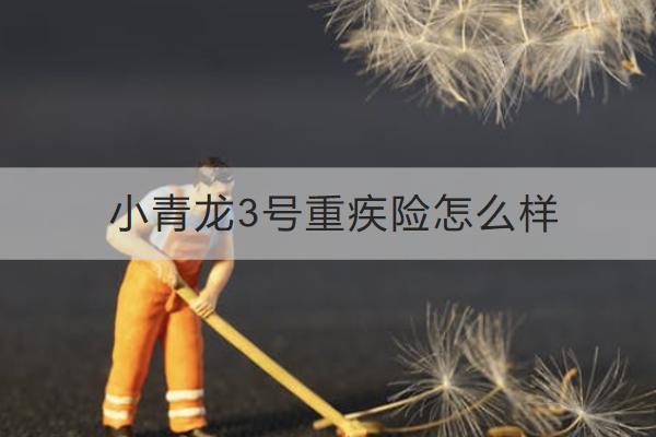小青龍3號重疾險怎么樣？有哪些保障？