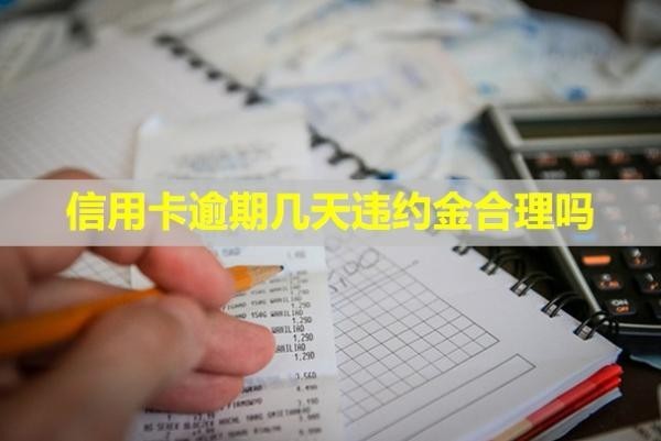 信用卡逾期幾天違約金合理嗎？還進(jìn)去能刷出來嗎？