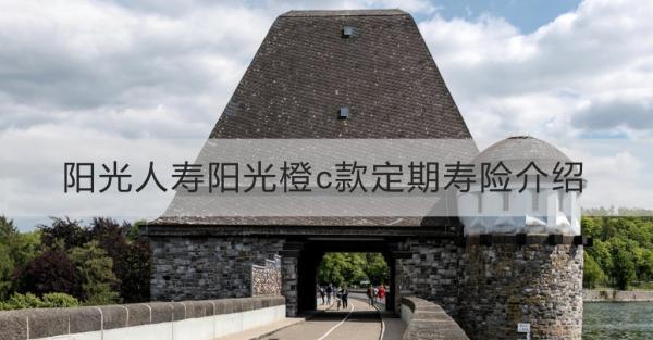 陽光人壽陽光橙c款定期壽險介紹？看這篇就夠了！