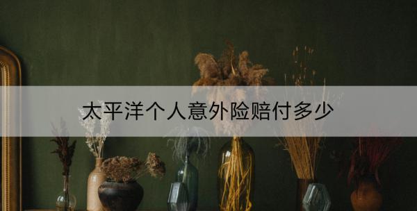 太平洋個(gè)人意外險(xiǎn)賠付多少？理賠流程是什么？