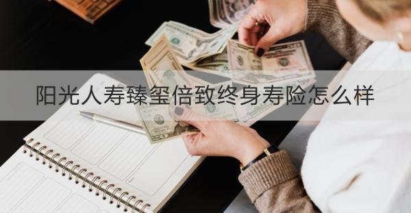 陽(yáng)光人壽臻璽倍致終身壽險(xiǎn)怎么樣？?jī)蓚€(gè)方面為你解答