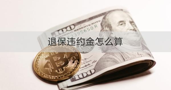 退保違約金怎么算？怎么退？