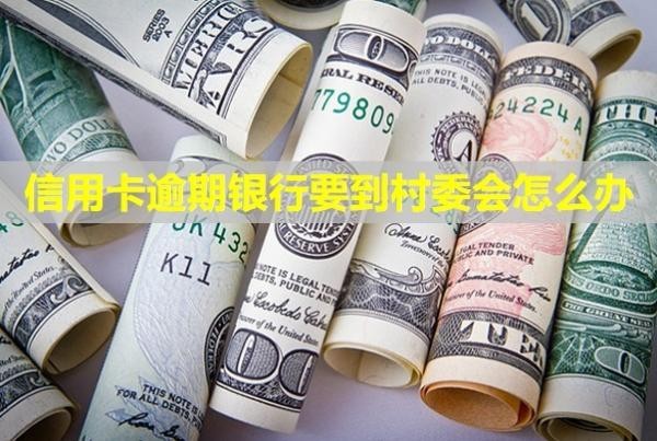 信用卡逾期銀行要到村委會怎么辦？催收電話怎么應(yīng)付？