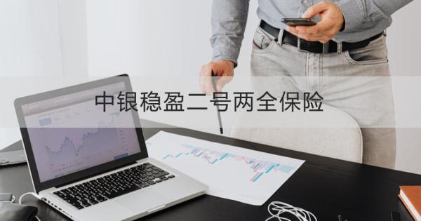 中銀穩(wěn)盈二號兩全保險(xiǎn)條款介紹，基本信息+產(chǎn)品保障