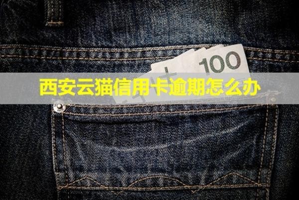 西安云貓信用卡逾期怎么辦