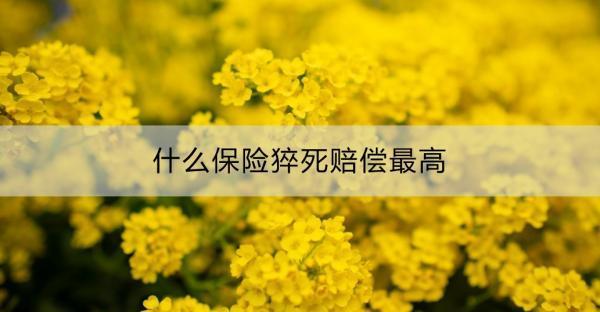 什么保險(xiǎn)猝死賠償最高？高猝死賠償?shù)囊馔怆U(xiǎn)產(chǎn)品推薦？