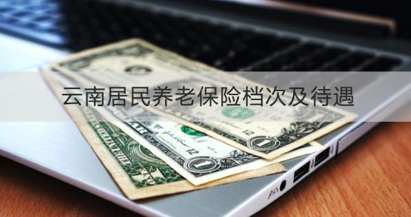 云南居民養(yǎng)老保險檔次及待遇是怎樣的？怎么交？