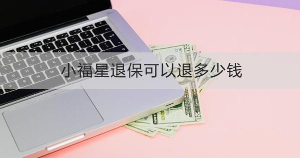 小福星退?？梢酝硕嗌馘X？退保怎么退？
