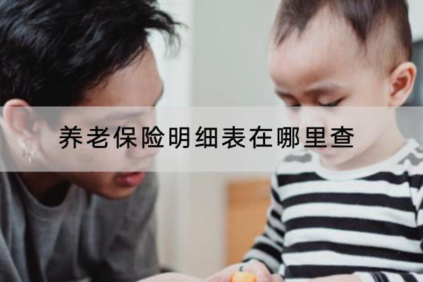 養(yǎng)老保險(xiǎn)明細(xì)表在哪里查？怎樣領(lǐng)得多？