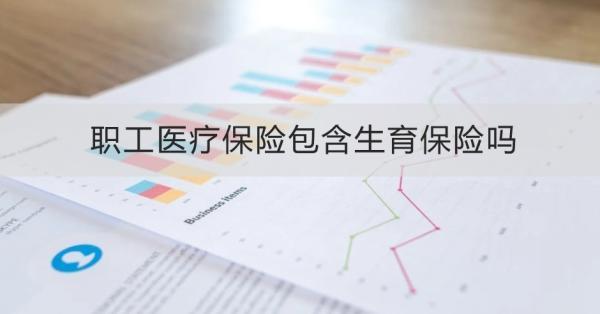 職工醫(yī)療保險(xiǎn)包含生育保險(xiǎn)嗎？怎么交？