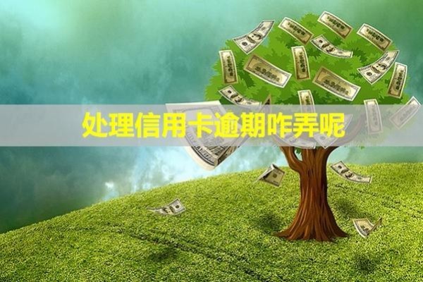 處理信用卡逾期咋弄呢？無力償還怎么停息掛賬？