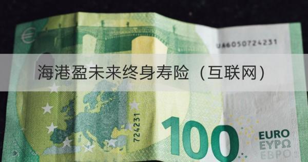 海港盈未來終身壽險（互聯(lián)網(wǎng)）投保規(guī)則詳解，基本信息+保障