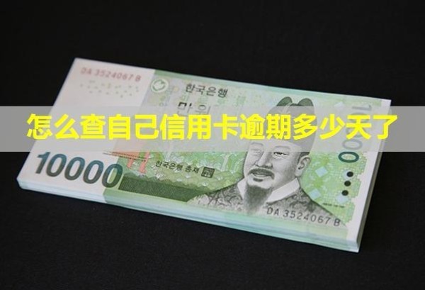 怎么查自己信用卡逾期多少天了？無力償還怎么辦？