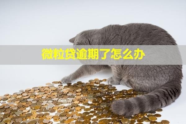 微粒貸逾期了怎么辦？會從微信零錢里直接扣錢嗎？