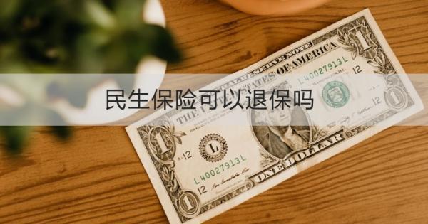 民生保險可以退保嗎