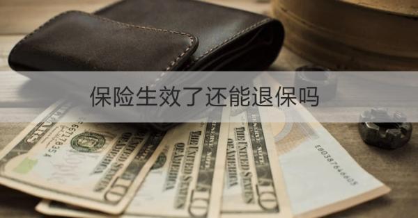 保險生效了還能退保嗎