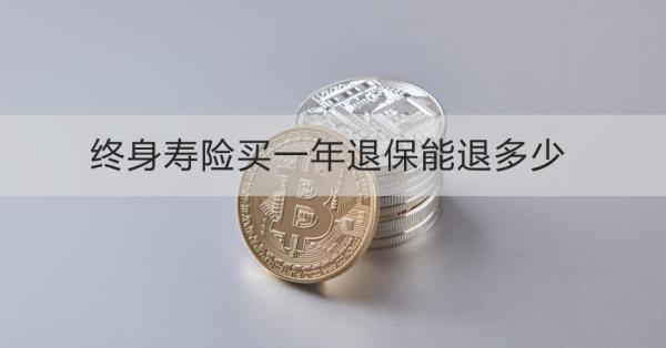 終身壽險(xiǎn)買一年退保能退多少？退保怎么退？