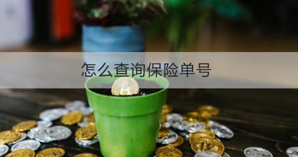 怎么查詢保險(xiǎn)單號(hào)？查詢不到為什么？