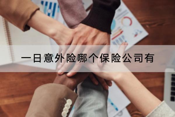 一日意外險哪個保險公司有？怎樣投保？