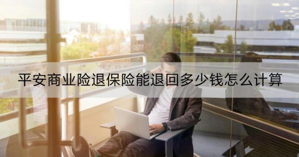 平安商業(yè)險(xiǎn)退保險(xiǎn)能退回多少錢(qián)怎么計(jì)算？退保險(xiǎn)線上退保流程？