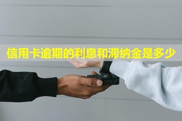 信用卡逾期的利息和滯納金是多少？多久能恢復(fù)信用？