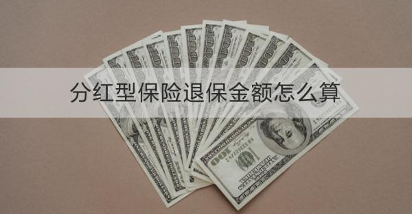 分紅型保險退保金額怎么算？需要哪些材料？