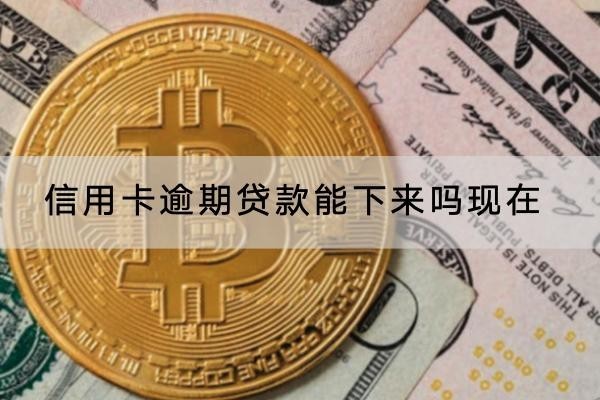 信用卡逾期貸款能下來嗎現(xiàn)在？想貸款怎么辦？