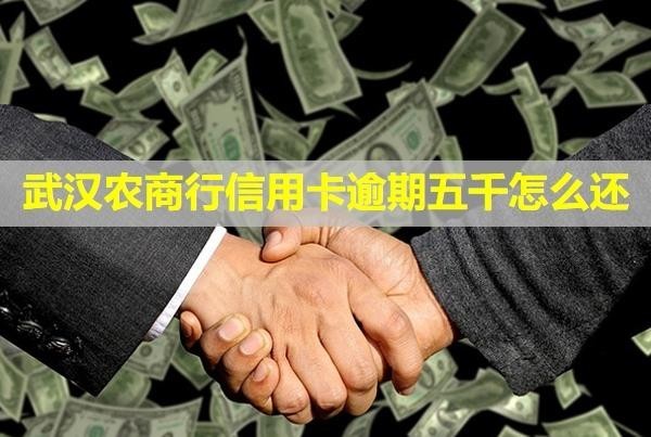 武漢農(nóng)商行信用卡逾期五千怎么還？