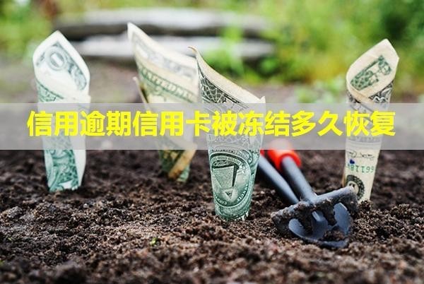 信用逾期信用卡被凍結(jié)多久恢復(fù)？卡還能用嗎？