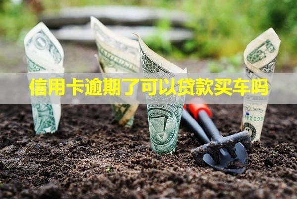 信用卡逾期了可以貸款買車嗎？可以協(xié)商只還本金嗎？
