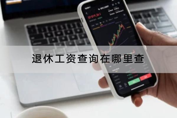 退休工資查詢?cè)谀睦锊? style=