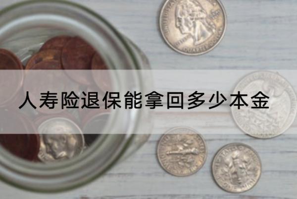 人壽險退保能拿回多少本金