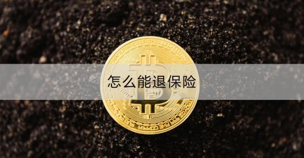 怎么能退保險？如何減少退保損失？