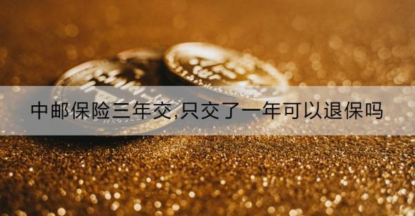 中郵保險三年交,只交了一年可以退保嗎？怎么退保？
