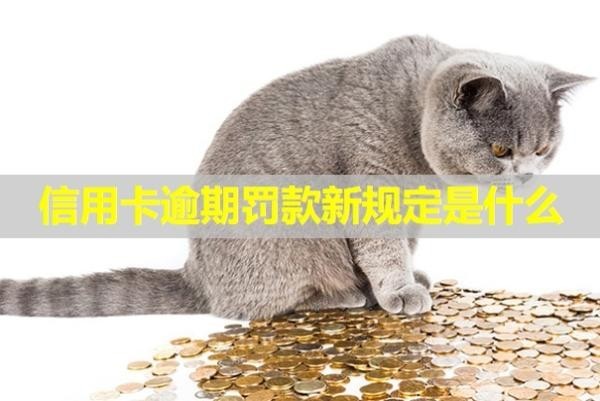 信用卡逾期罰款新規(guī)定是什么？會(huì)拍賣房子嗎？