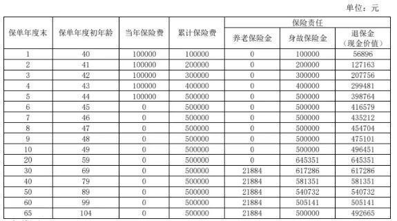 國民職工之家C款養(yǎng)老年金保險(互聯(lián)網(wǎng)專屬)有什么投保規(guī)則？有哪些保障？