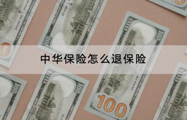 中華保險(xiǎn)怎么退保險(xiǎn)