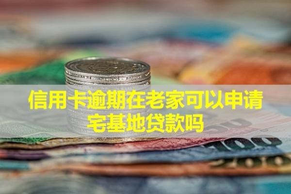 信用卡逾期在老家可以申請(qǐng)宅基地貸款嗎？