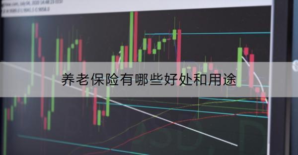 養(yǎng)老保險(xiǎn)有哪些好處和用途