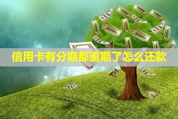 信用卡有分期都逾期了怎么還款？可以提前一次性還清嗎？
