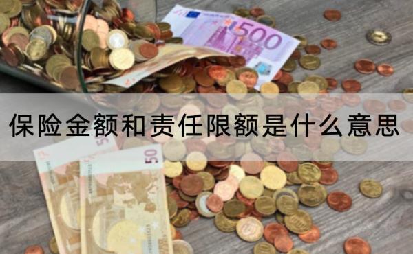 保險(xiǎn)金額和責(zé)任限額是什么意思？保險(xiǎn)金額越高越好嗎？