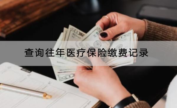 查詢往年醫(yī)療保險(xiǎn)繳費(fèi)記錄