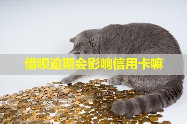 借唄逾期會影響信用卡嘛？可以申請延期還款嗎？
