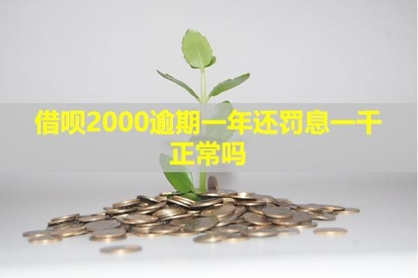 借唄2000逾期一年還罰息一千正常嗎？有啥影響嗎？