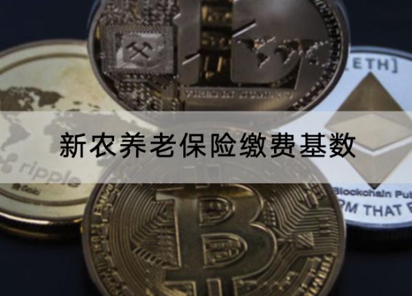新農(nóng)養(yǎng)老保險繳費基數(shù)是多少？怎么交？