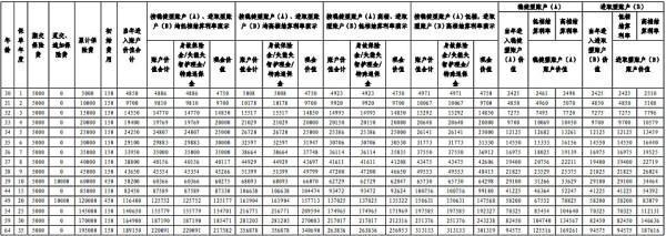 平安智盈金生專屬商業(yè)養(yǎng)老保險(xiǎn)