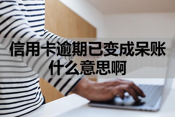 信用卡逾期已變成呆賬什么意思啊