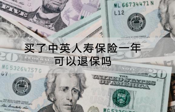 買(mǎi)了中英人壽保險(xiǎn)一年可以退保嗎