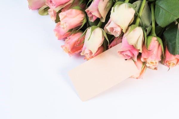 女性保險投保攻略